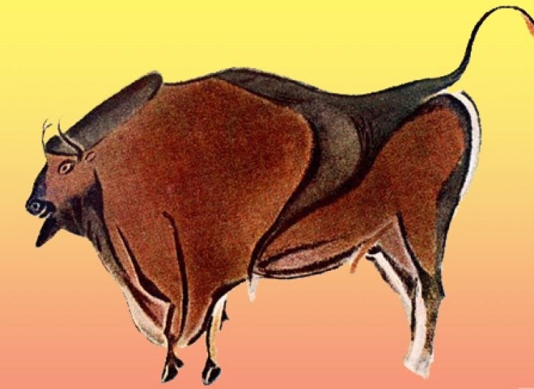 Le bison sacré