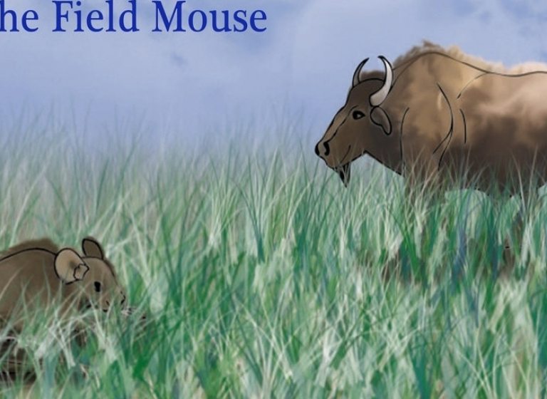 Le bison et la souris des champs