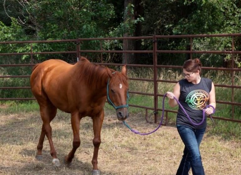 La thérapie par le cheval aide les élèves de l’école indienne St Joseph à surmonter les épreuves